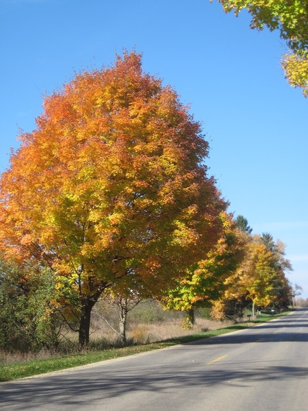 country roads 2