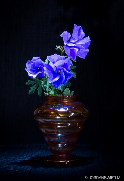 Blue Flowers