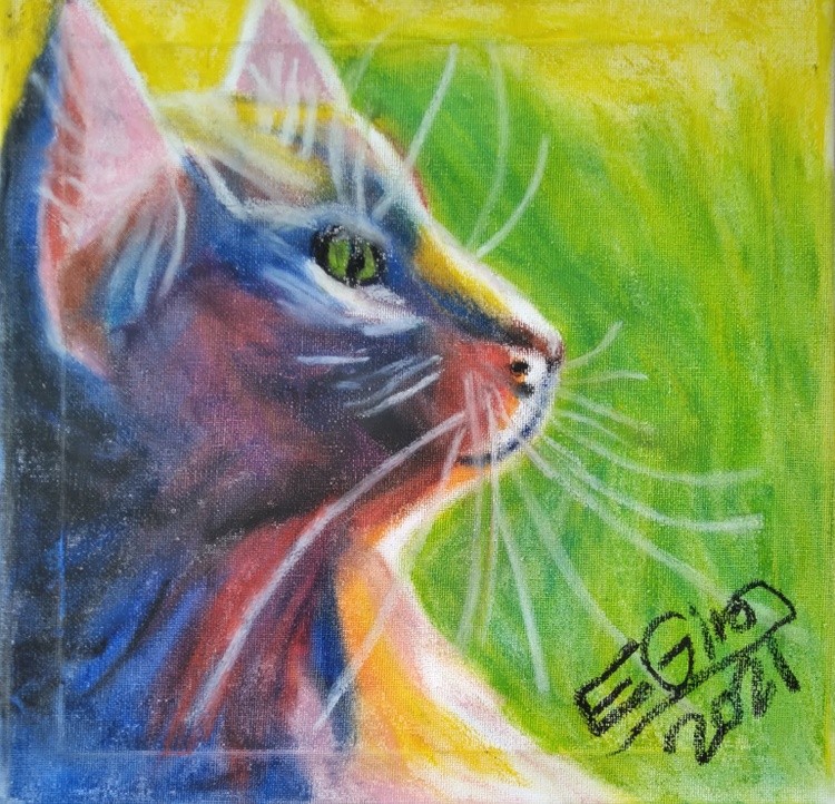 Minino