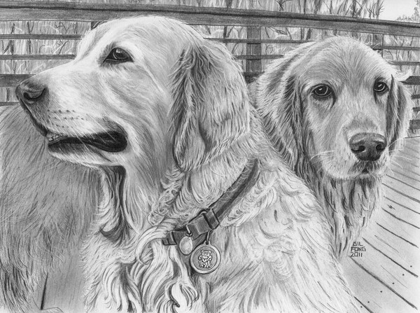 dogs