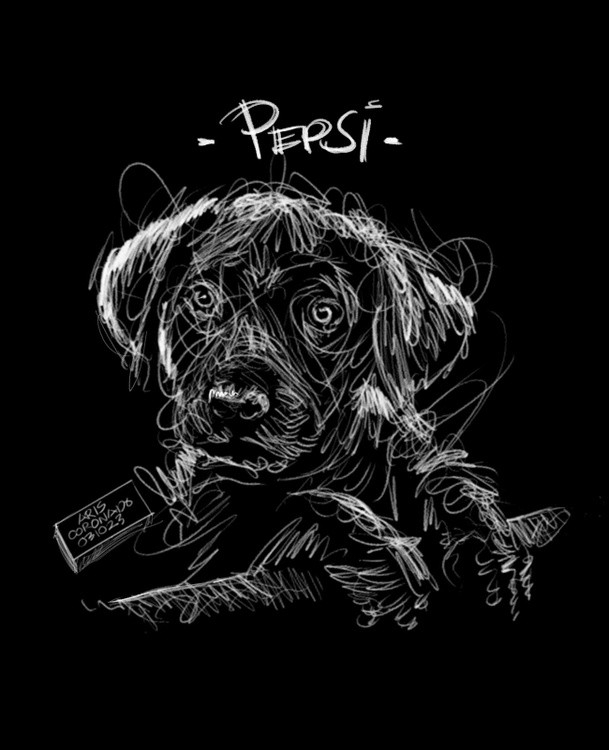 Scribble Art Portrait: PEPSI