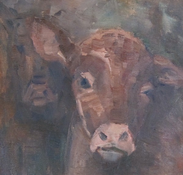 The friendly Cow