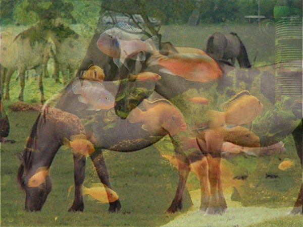 Manipulation 06