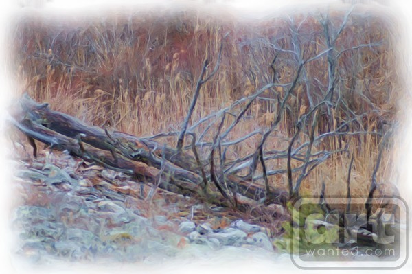 Fallen Tree Painting