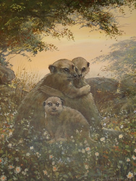 Meerkat Family Love