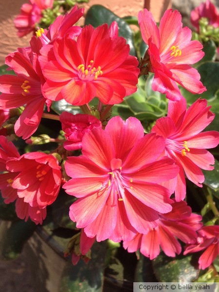 just red!