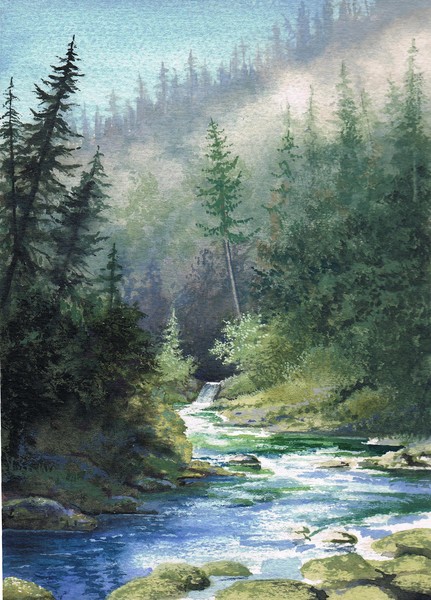 Forest and Stream in Oregon