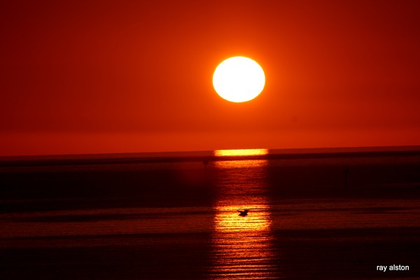 tangerine sunset