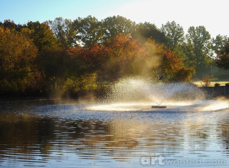 Spray in the Mist