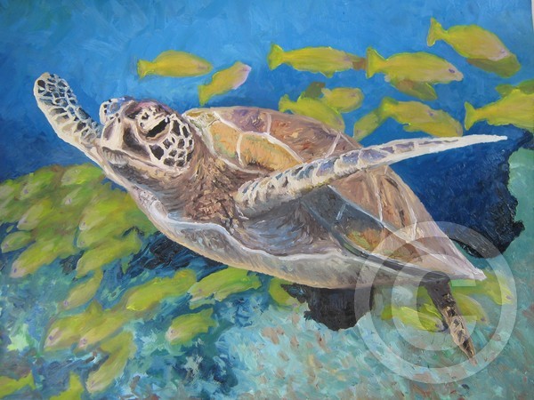 Sea Turtle
