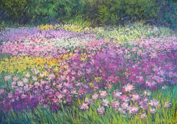 yellow and purple tulips
