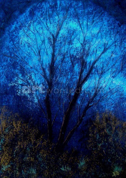 Trees and Blue Sky