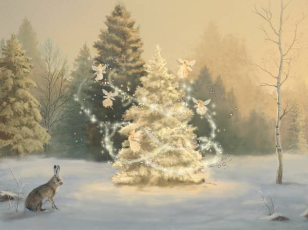 A Fairy Christmas