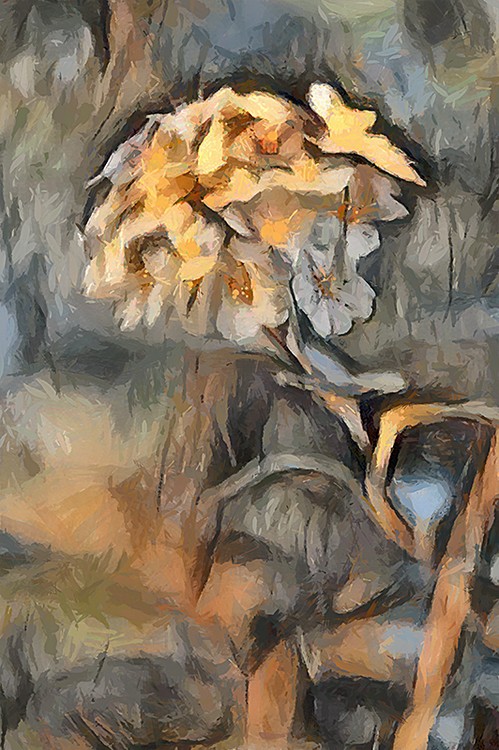 Bouquet from the hill