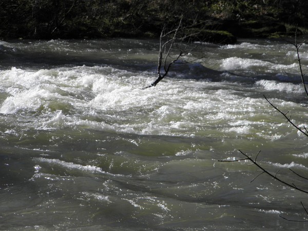 Fall Creek, Oregon  white water