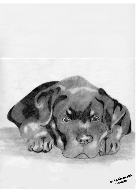 Rot Puppy
