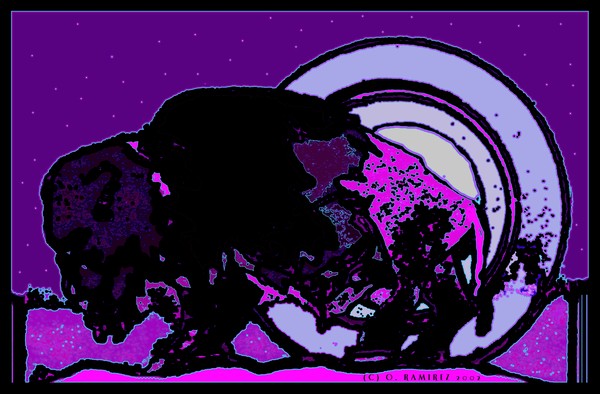 BUFFALO NIGHT