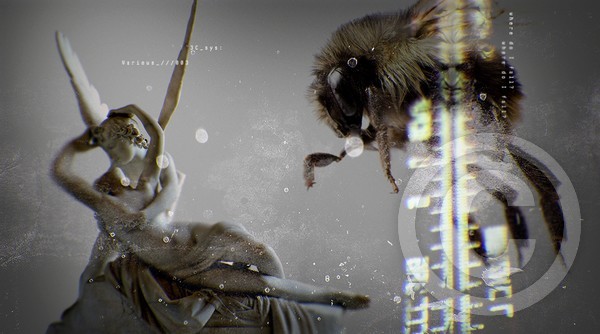 Various 003