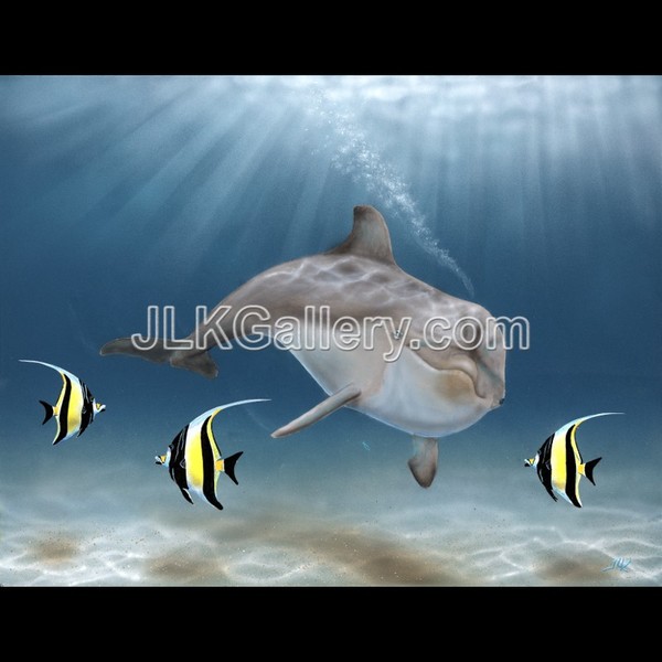 Dolphin Idols