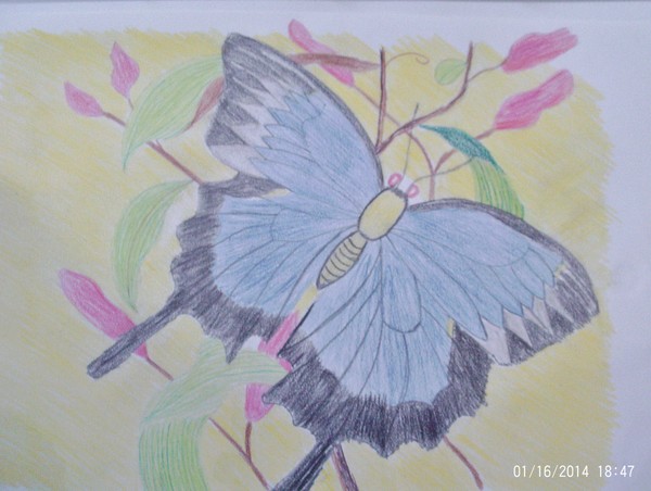 Fly like a butterfly