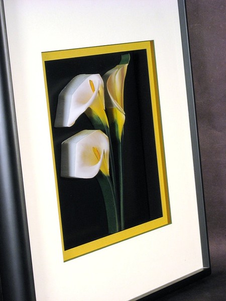Calla Lilies 3D
