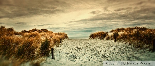 The Island #17