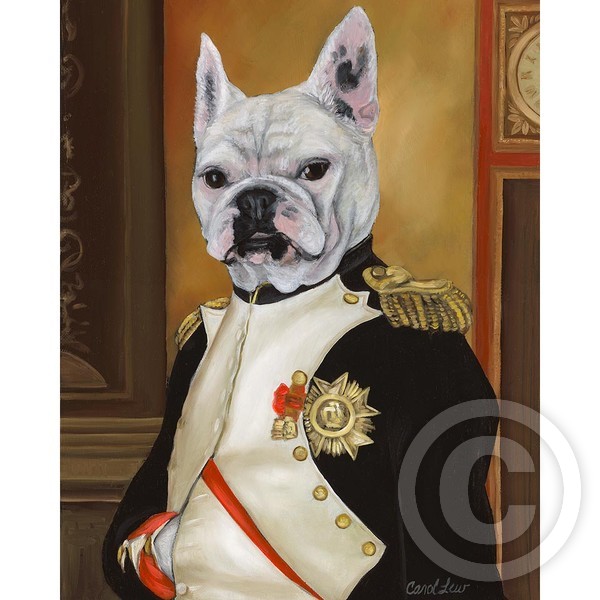 Frenchie Napoleon