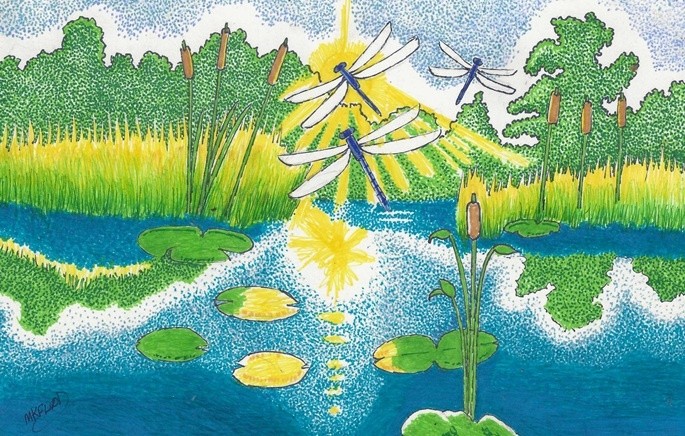 Marsh Dance of Dragonflies