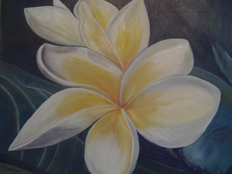 Plumeria Study