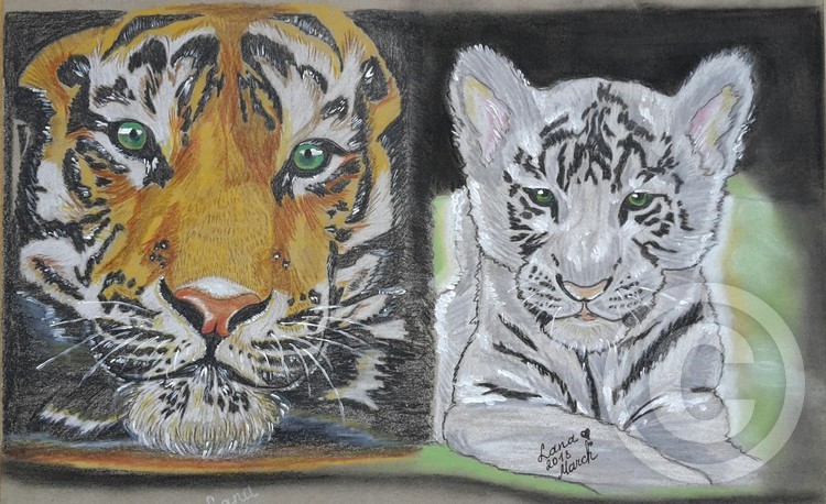 Tigers