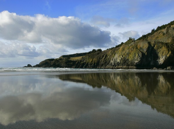 Scene in the Sand