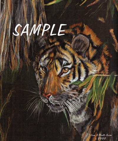 Tiger Tyger