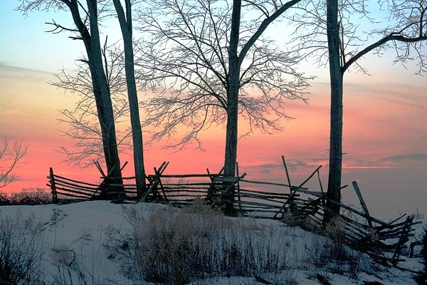 Rosy Glow