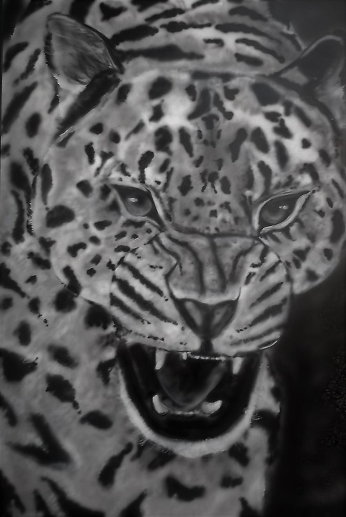airbrush on A2 card