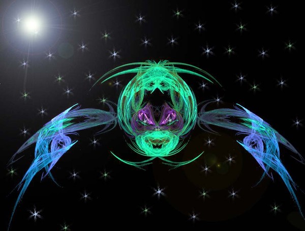 Space Bug.....!