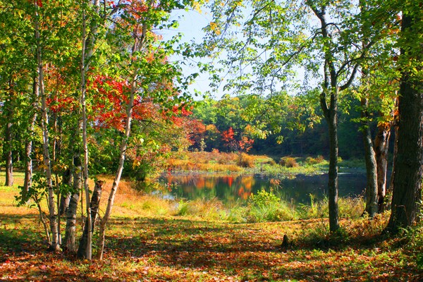 Swimming Hole in Fall