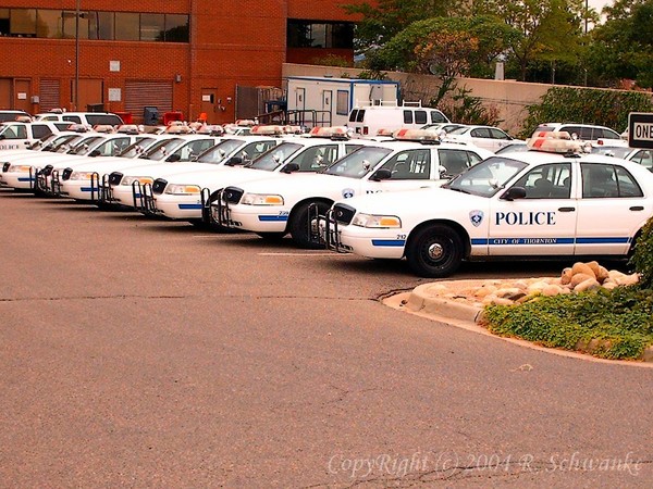 The Thin Blue Line