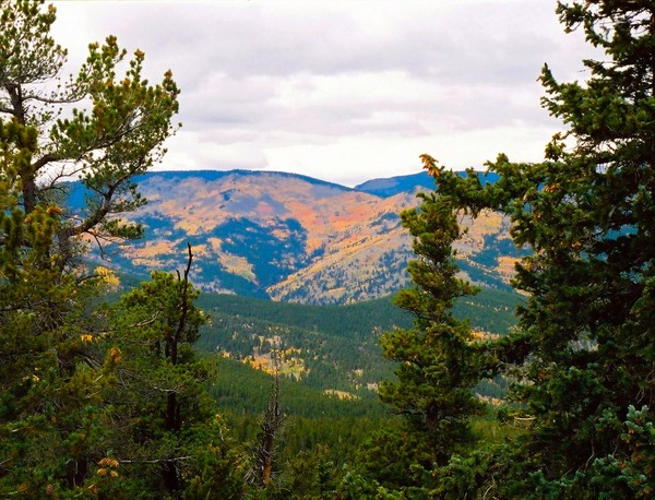 Mountain of Color