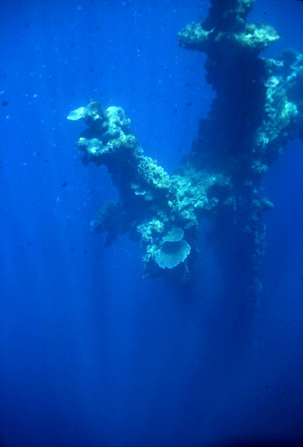 The Ghost Fleet