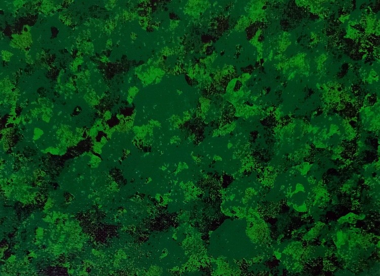 Green on Black #2