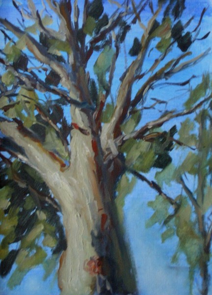 Old tree