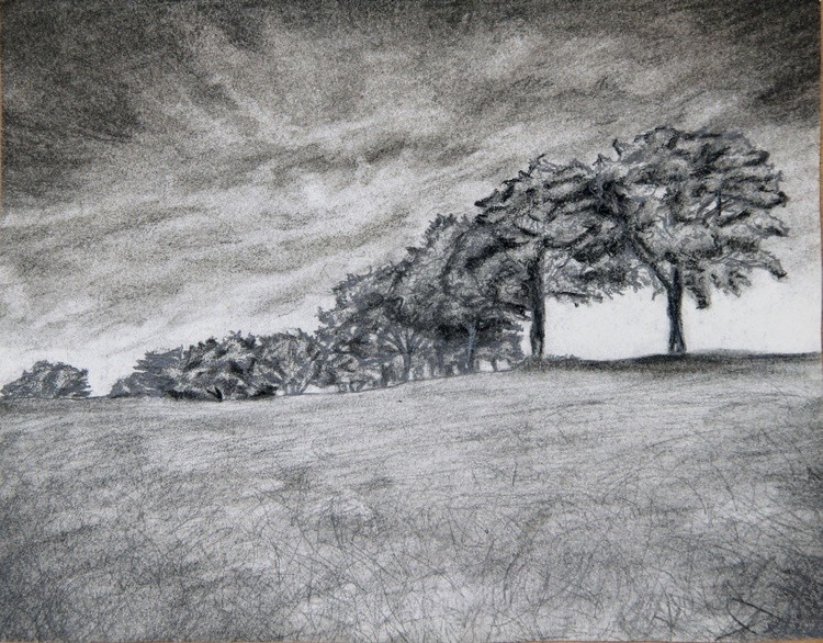 Charcoal Landscape