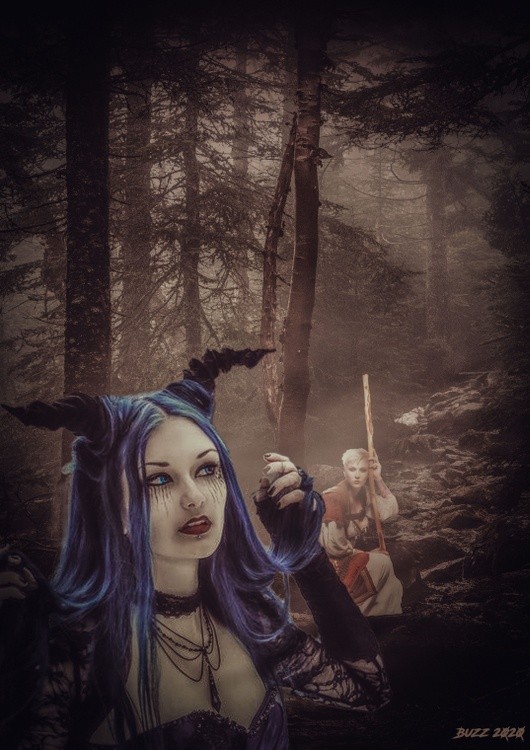 in the forest