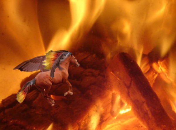 Fire Flyer