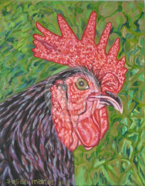 Rooster 