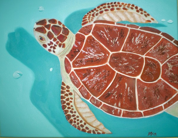 sea turtle