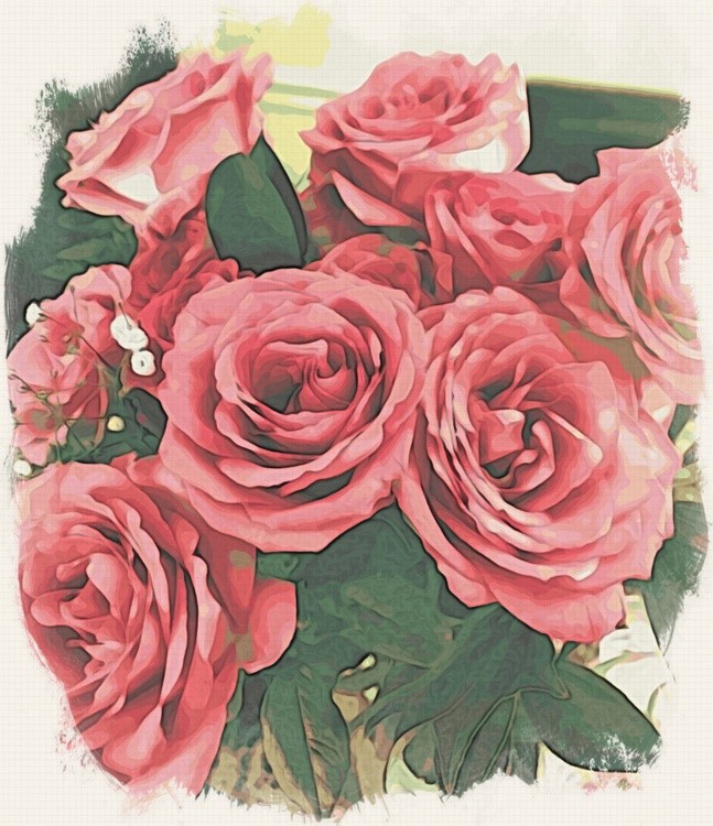 Birthday Roses