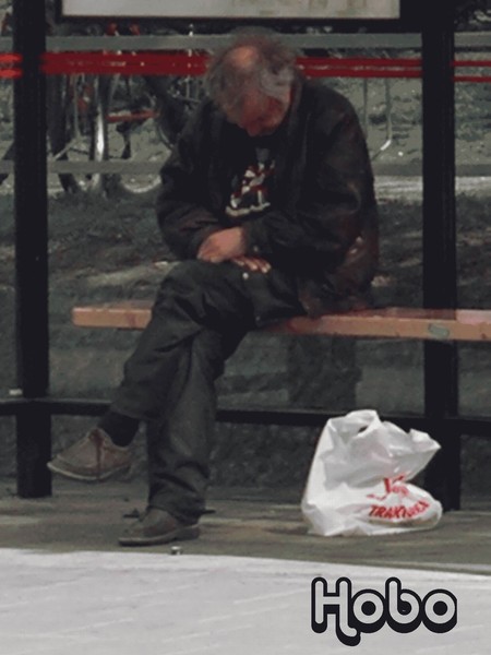 Hobo