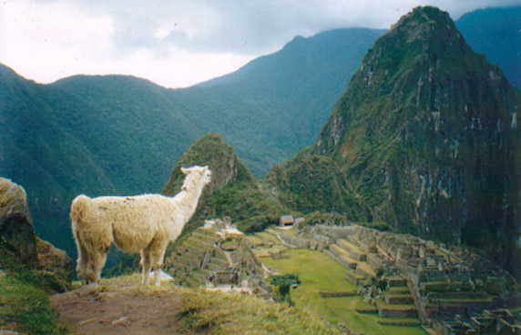 Off Topic: Machupicchu at 3:40pm