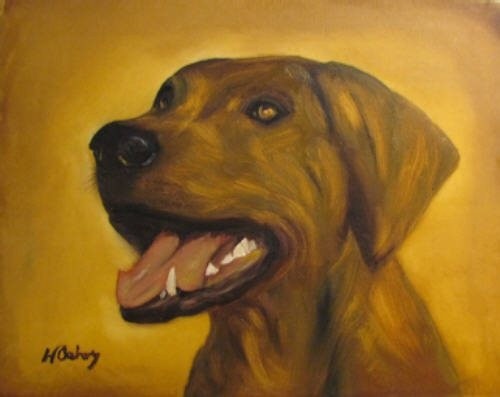 KINGA  (Rhodesian Ridgeback) 